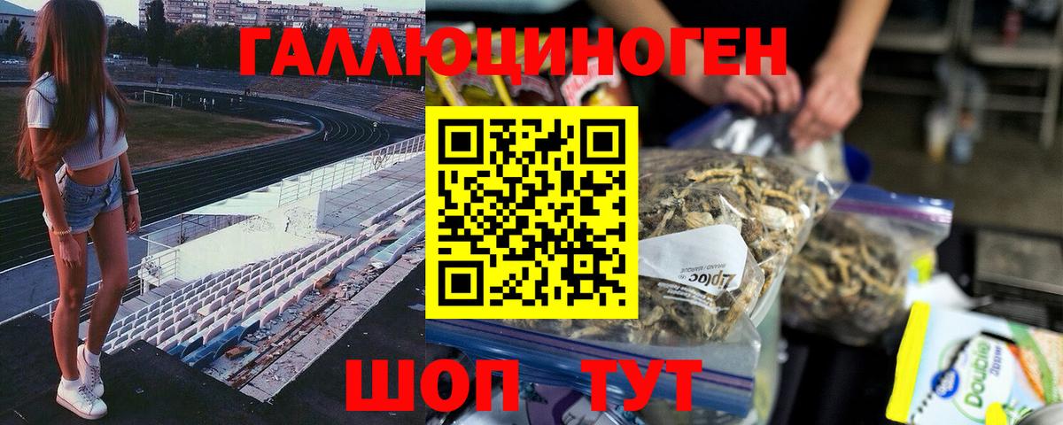 Галлюциногенные грибы Psilocybe Карпинск