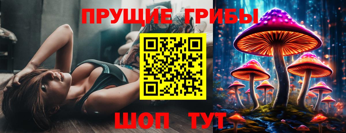 Псилоцибиновые грибы MAGIC MUSHROOMS  где купить   Карпинск  Вход с VPN 